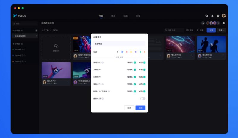 网络视频平台开发