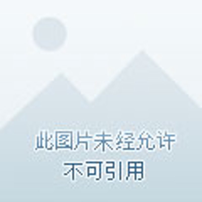 短视频平台搭建：掌握新营销利器